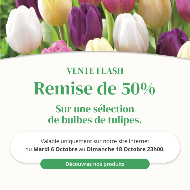 Vente flash sur une sélection de bulbes de tulipes - Du 6 octobre au 18 octobre 23h00