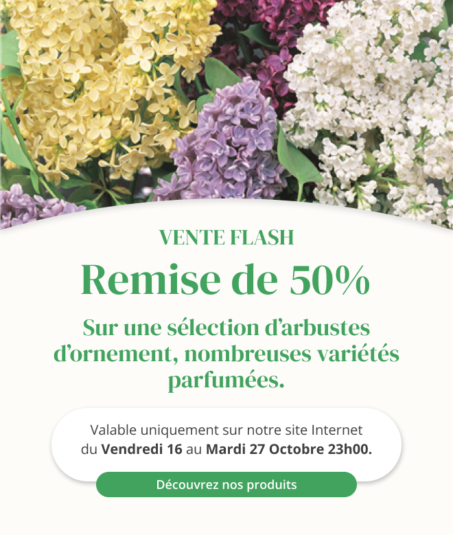 Vente flash sur une sélection d'arbustes d'ornements - Du 16 octobre au 27 octobre 23h00