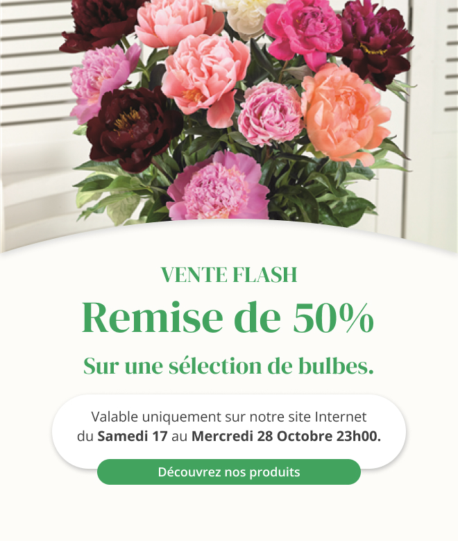 Vente flash sur une sélection de bulbes - Du 17 octobre au 28 octobre 23h00