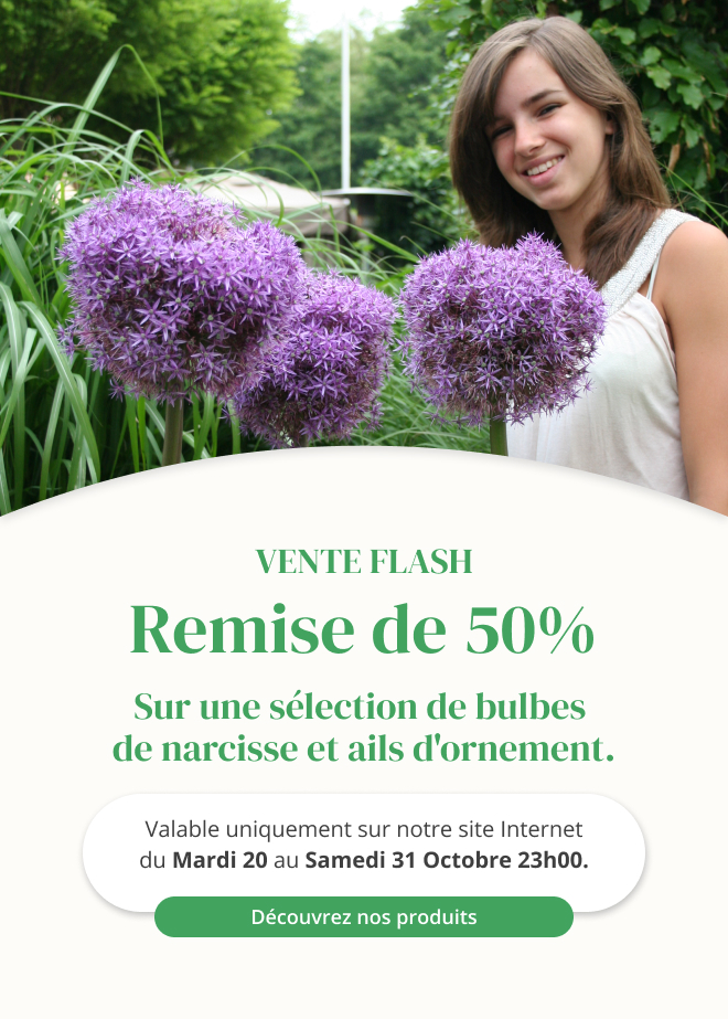 Vente flash sur une sélection de bulbes de narcisse et ails d'ornement - Du 20 octobre au 31 octobre 23h00