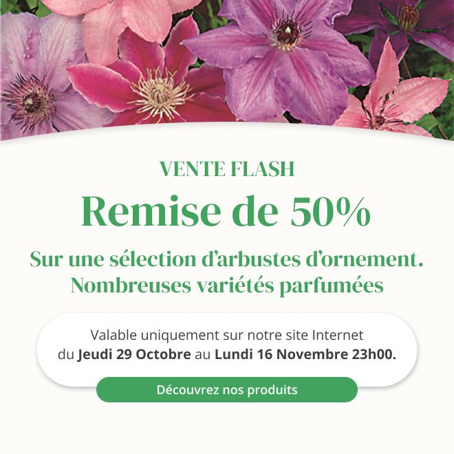 Vente flash sur une sélection d'arbustes d'ornements - Du 29 octobre au 16 novembre 23h00