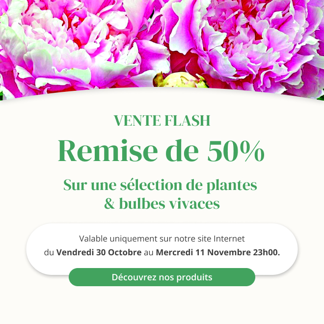 Vente flash sur une sélection de plantes & bulbes vivaces - Du 30 octobre au 11 novembre 23h00