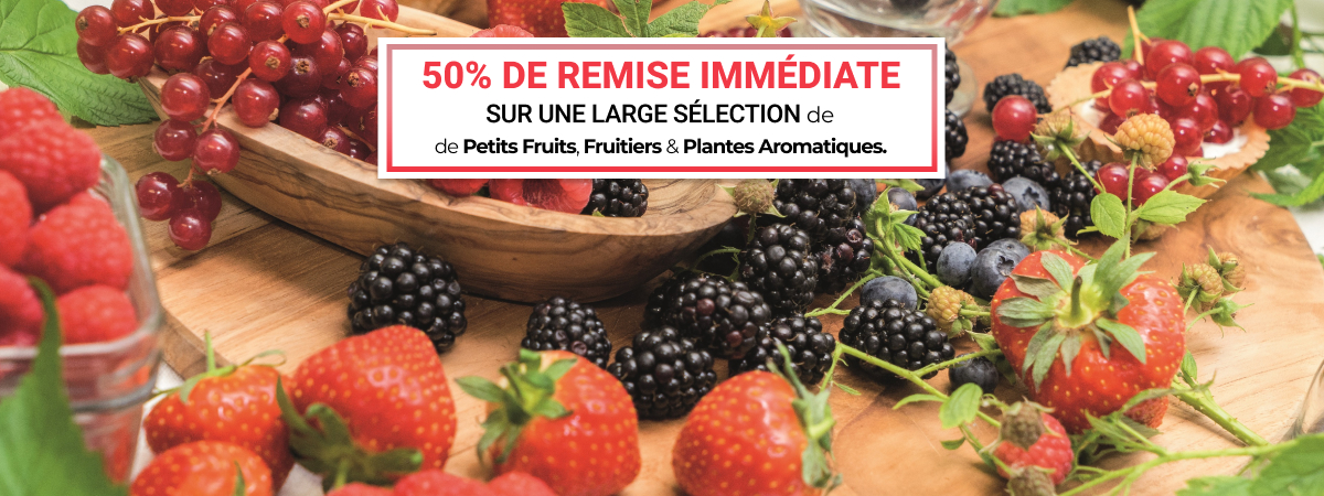 Vente flash de Petits Fruits, Fruitiers & Plantes Aromatiques - Du 27 mars au 7 avril 23h00