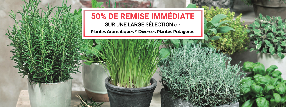 Vente flash de Plantes Aromatiques & Diverses Plantes Potagères - Du 19 au 29 avril 23h00